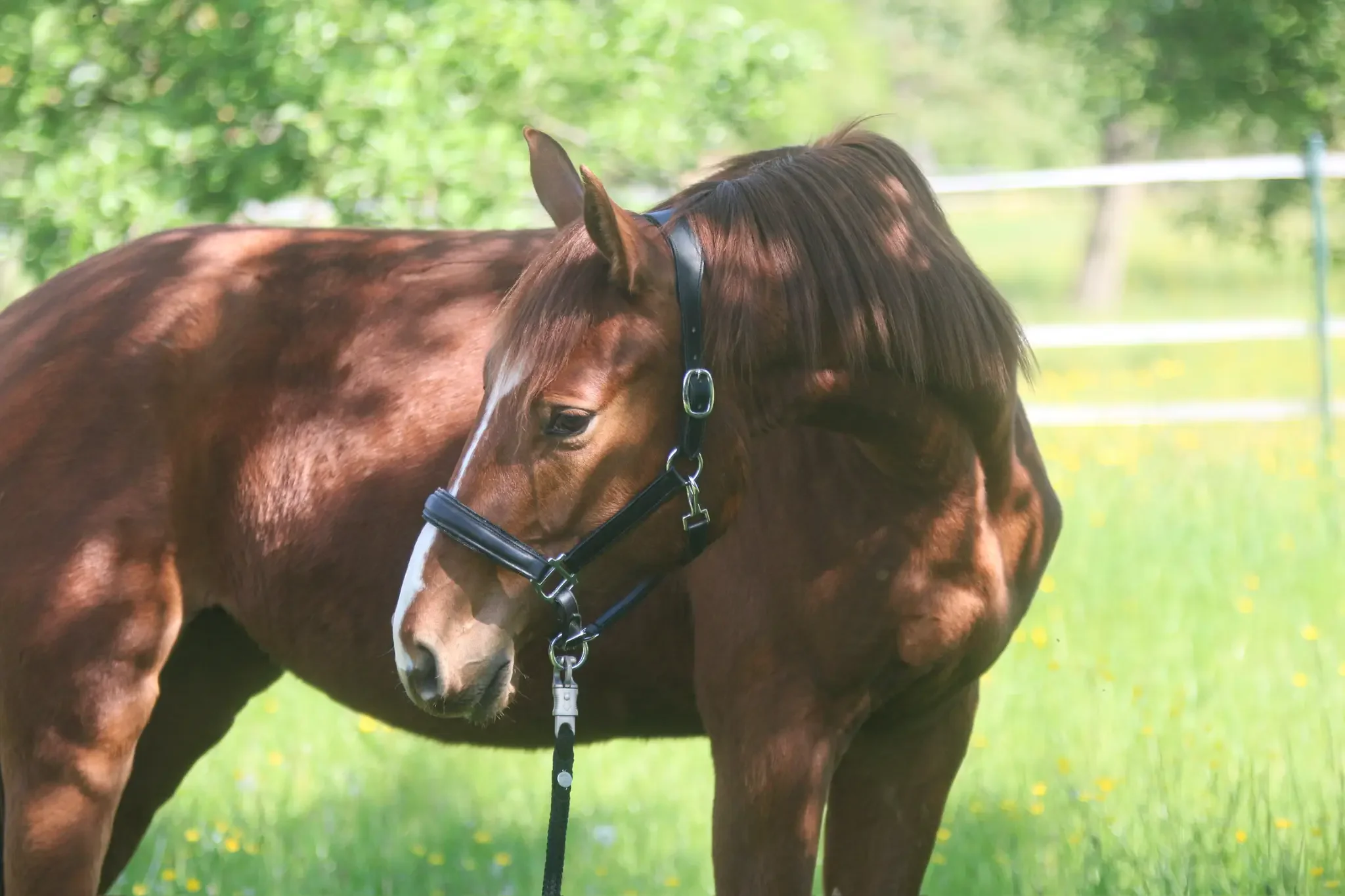 Kontakt - Hofgut Ammerfeld